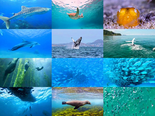 ' Glorified is The  All-Mighty Creator '.jpg