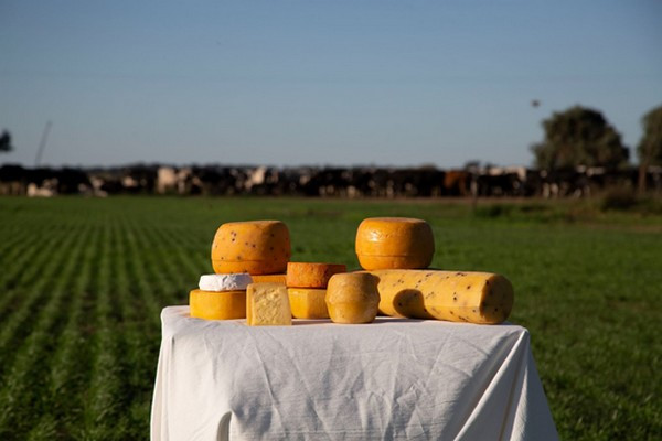 Fin de semana | Suipacha Gourmet: sabores bonaerenses en escena
