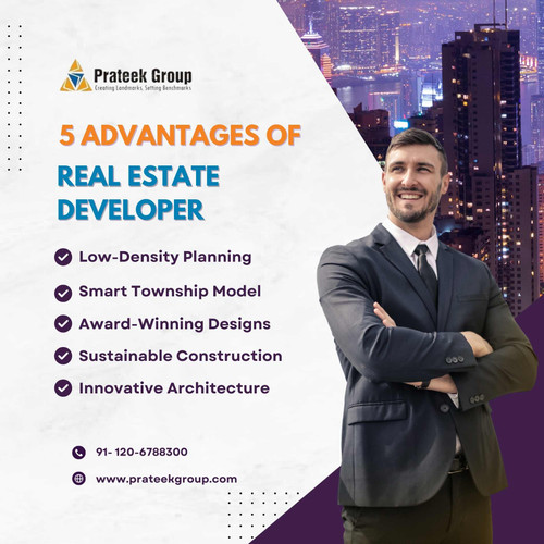 5 Advantages of Real estate developer.jpg