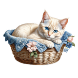 kits tammys welt victorian chic (6)
