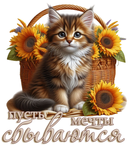 162148193 Otkruytka.png