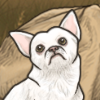 IMG 0063.png