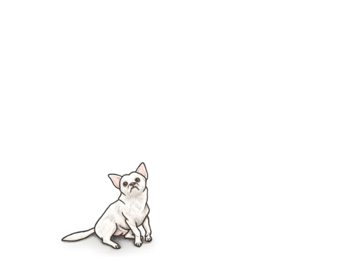 IMG 0062.png