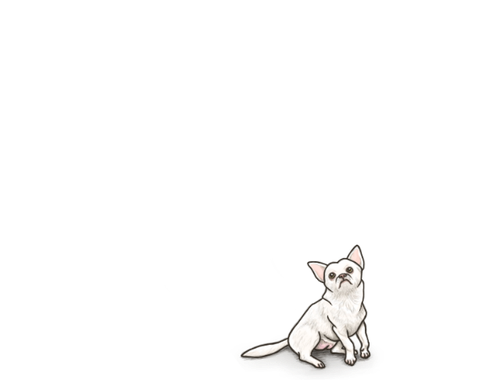 IMG 0061.png