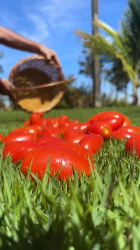 0 qrvfc2G6HjJ6Qn.jpg