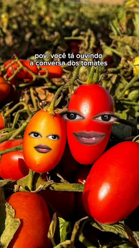 pbKpvYD0G2OFvcYr