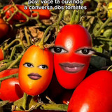 pbKpvYD0G2OFvcYr