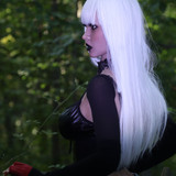 IMG 0074