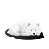 dowebp anim mfcffgd2.webp