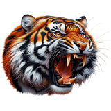 big cat 9