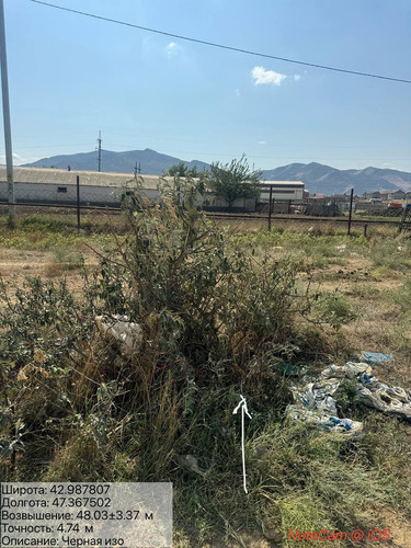 photo 16 2025 09 09 16 06 24.jpg