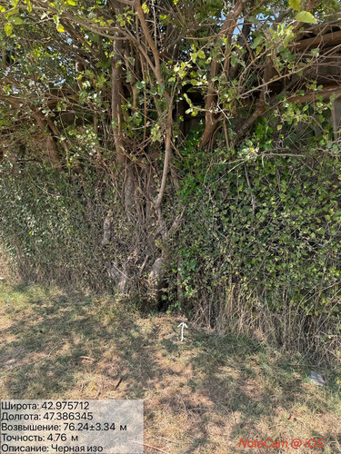 photo 4 2025 09 09 16 06 24.jpg