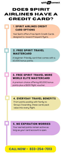 Does Spirit Airlines have a credit card.jpg