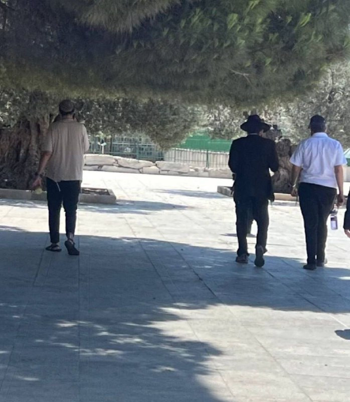 مستوطنون يقتحمون المسجد الأقصى في هذه اللحظات تحت حراسة شرطة الاحتلال....