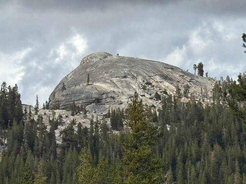 201914155 medium 1760845767.jpg