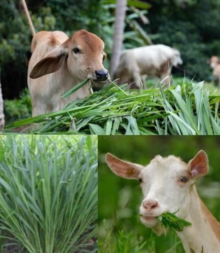 Untitled design 2 1.jpg