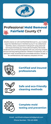 Professional Mold Removal Fairfield County CT.png