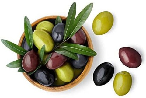 1 gifti gardening olive elaeocar.jpg