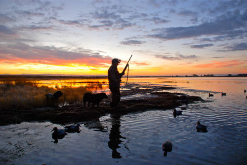 Goose Hunting in Colorado – Birds And Bucks Outdoors.jpg