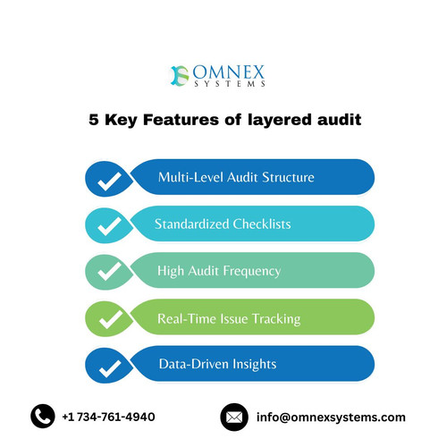 5 Key Features of layered audit.jpg