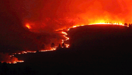 fire gif.gif