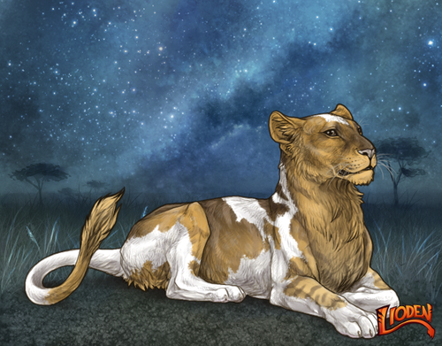 lioden wardrobe 2025 11 13T124132.572.png