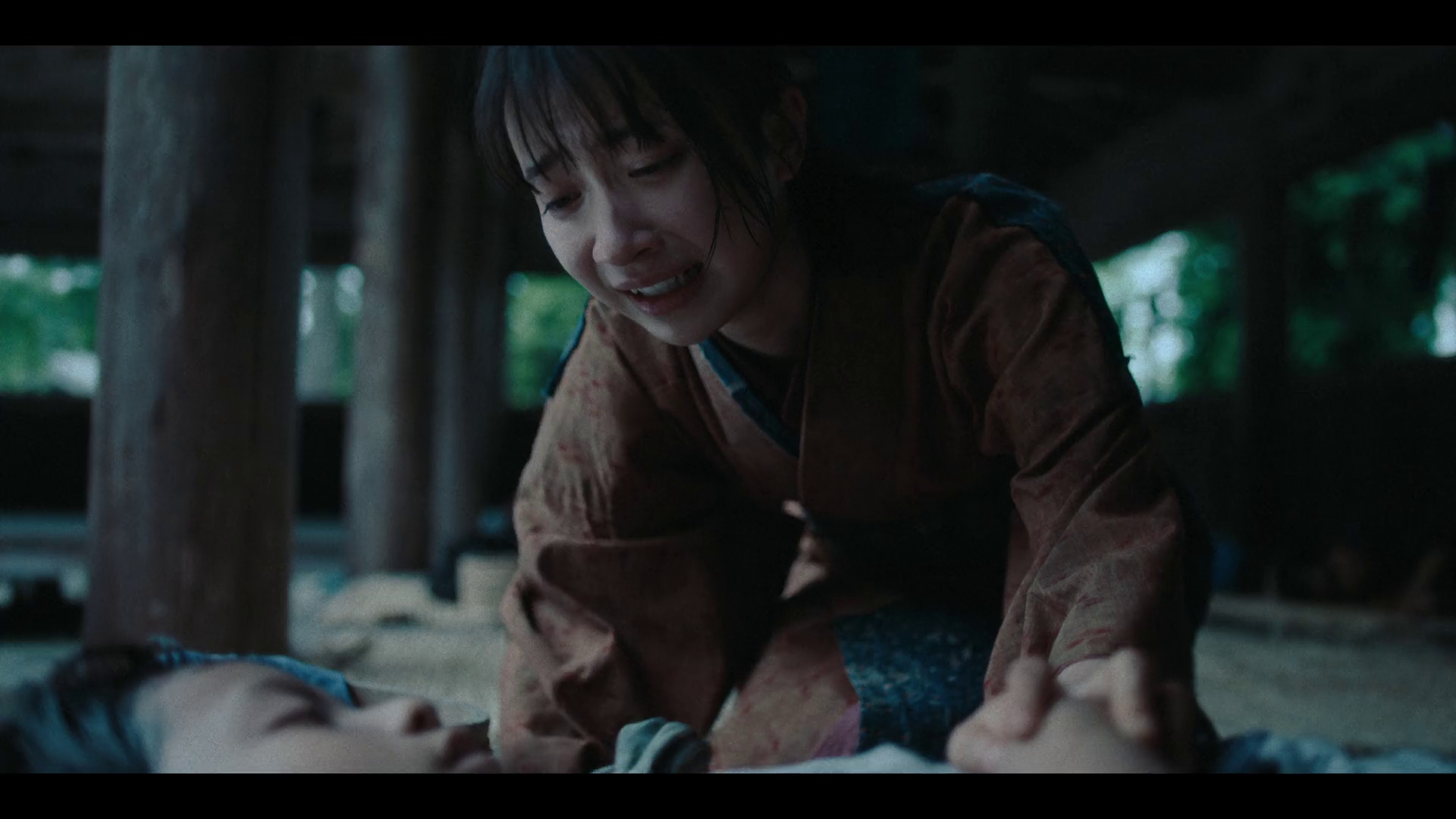 vlcsnap 2025 11 14 05h15m37s893