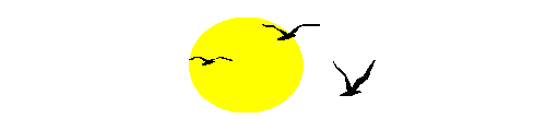 6.gif