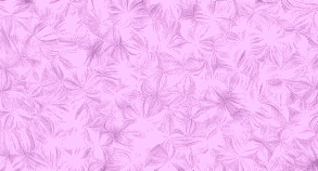 bg.png
