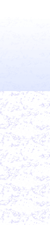 bg.png