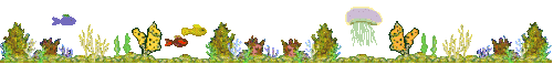 13.gif