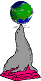 7.gif