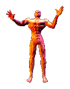 5.gif