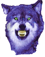 11.gif