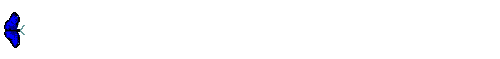 17.gif