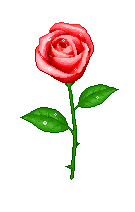 4.gif