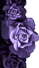 rose left.png
