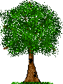12.png