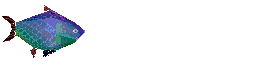 17.png