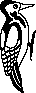 24.png