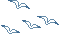 12.gif
