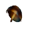 10.gif