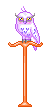 66.gif