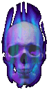17.gif