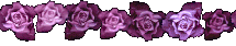 31.png