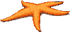 8.gif