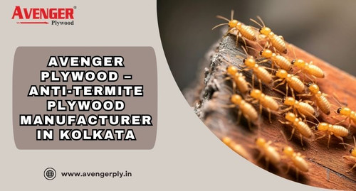 Avenger Plywood – Anti Termite Plywood Manufacturer in Kolkata.jpg