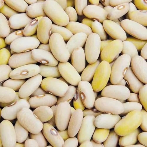 512x5v7dPRL. AC UF1000,1000 QL80.jpg