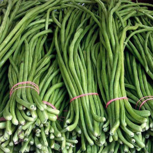 52 1beans vegetable seeds bdsres.jpg