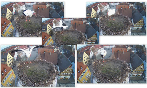 Bilder2.jpg